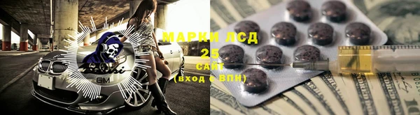 прущие крисы Бородино