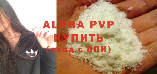 прущие крисы Бородино