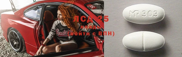спиды Богородицк