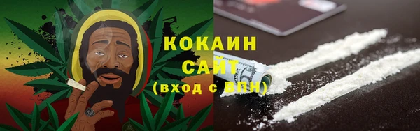 спиды Богородицк
