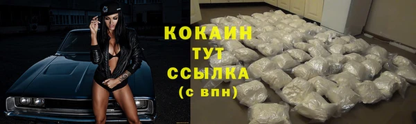 прущие крисы Бородино
