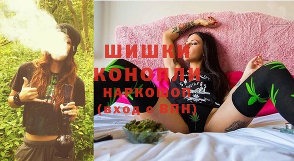 прущие крисы Бородино