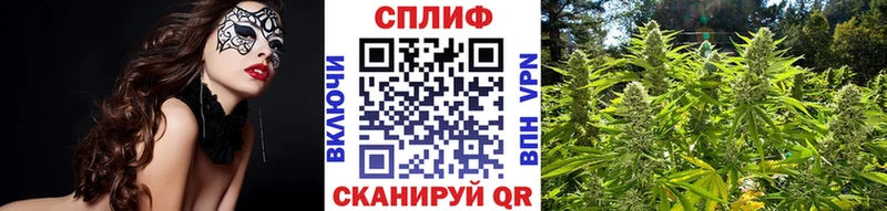 Купить закладки  Великие Луки  Шишки марихуана THC 21% 